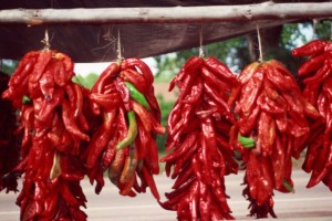 Hottest Peppers in the World, Casa Blanca Mexican Restaurant, MA